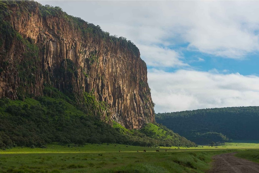 Picture 9 for Activity Day trip to Hells gate and Lake Naivasha