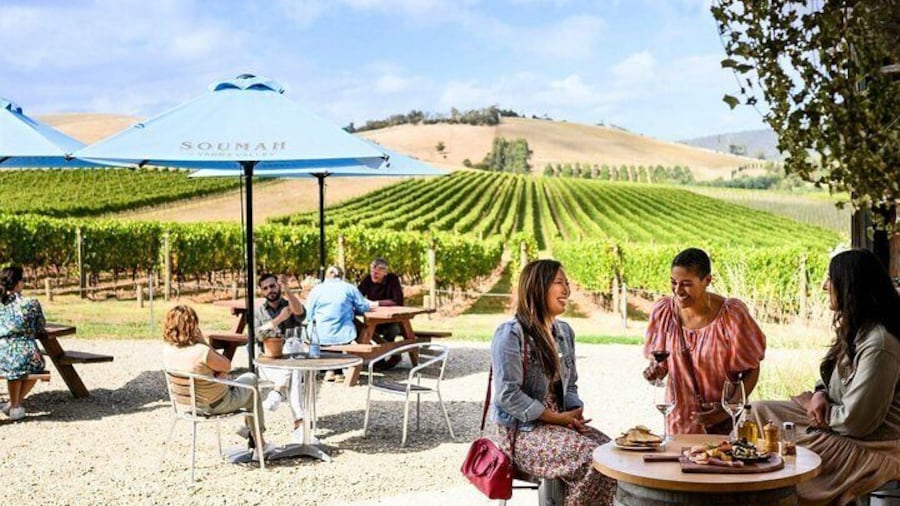 Wine Tasting at Soumah