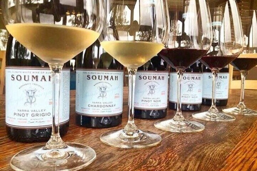 Soumah Wines