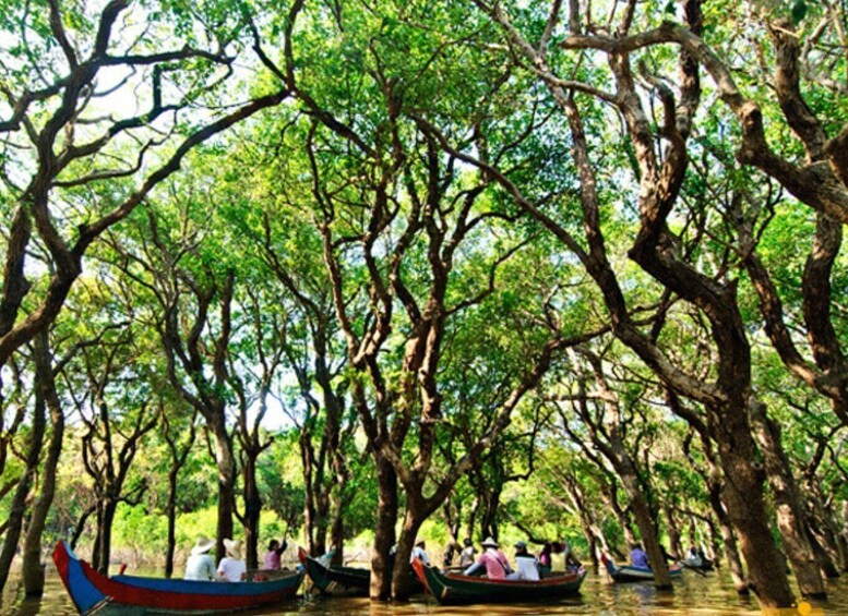 Picture 6 for Activity Floating Village-Mangroves Forest Tonle Sap Lake Cruise Tour