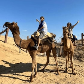 Jodhpur: Desert Camel and Jeep Safari with Traditional Food