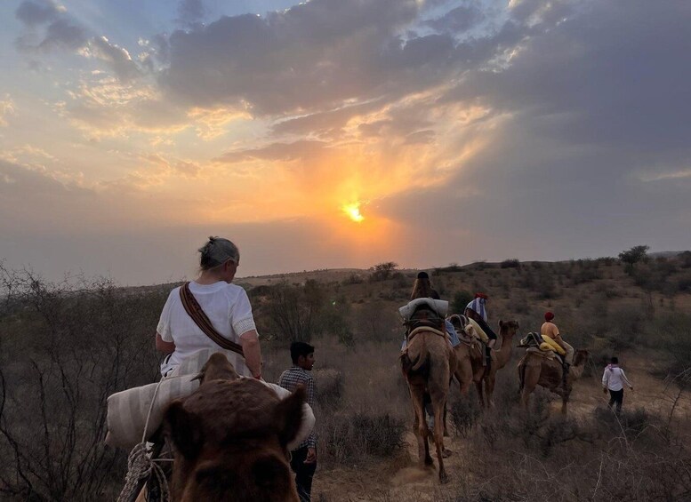 Picture 21 for Activity Jodhpur Desert Camel Safari& JeepSafari With Food With Sumer