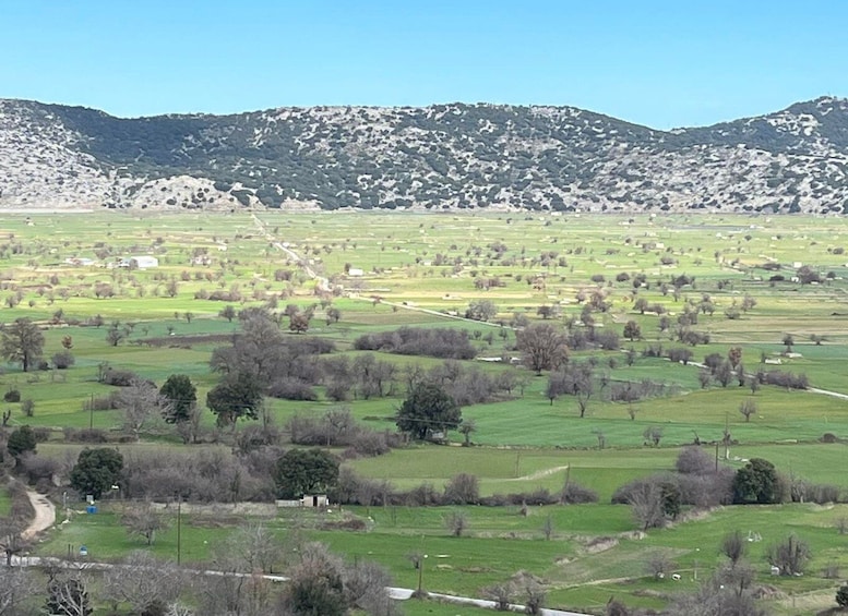 Picture 33 for Activity From Elounda Cretan Lasithi Plateau, Zeus Cave, Oldest Tree