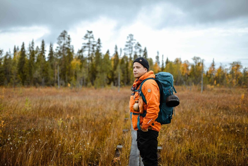 Picture 4 for Activity Rovaniemi : Trekking in the Heart of Nature