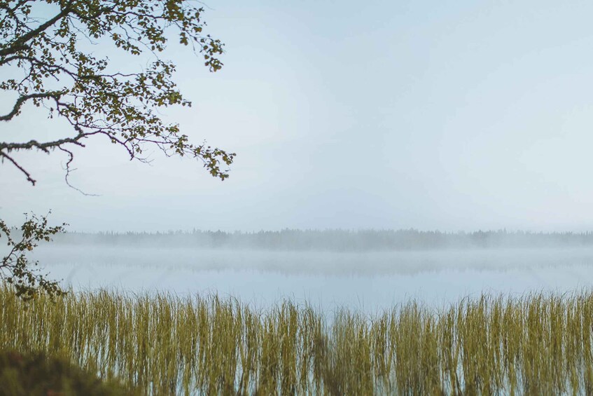 Picture 6 for Activity Rovaniemi : Trekking in the Heart of Nature