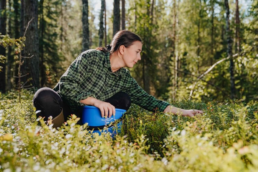 Picture 5 for Activity Rovaniemi : Trekking in the Heart of Nature