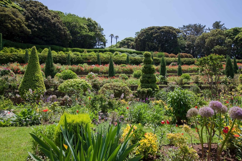 Picture 10 for Activity Busan:A2.Hidden Gem Geoje & Oedo Botania Island