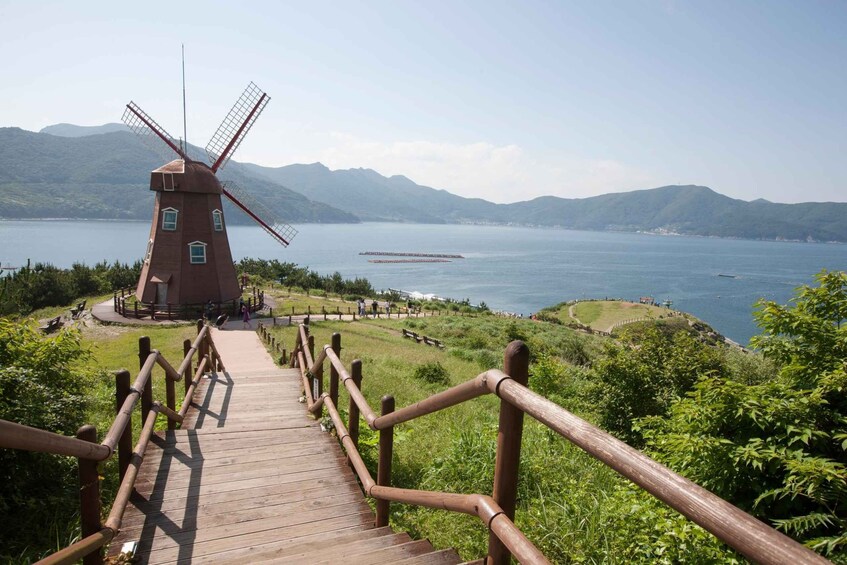 Picture 11 for Activity Busan:A2.Hidden Gem Geoje & Oedo Botania Island