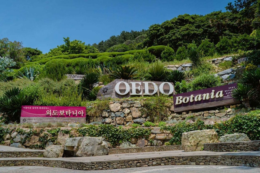 Picture 1 for Activity Busan:A2.Hidden Gem Geoje & Oedo Botania Island