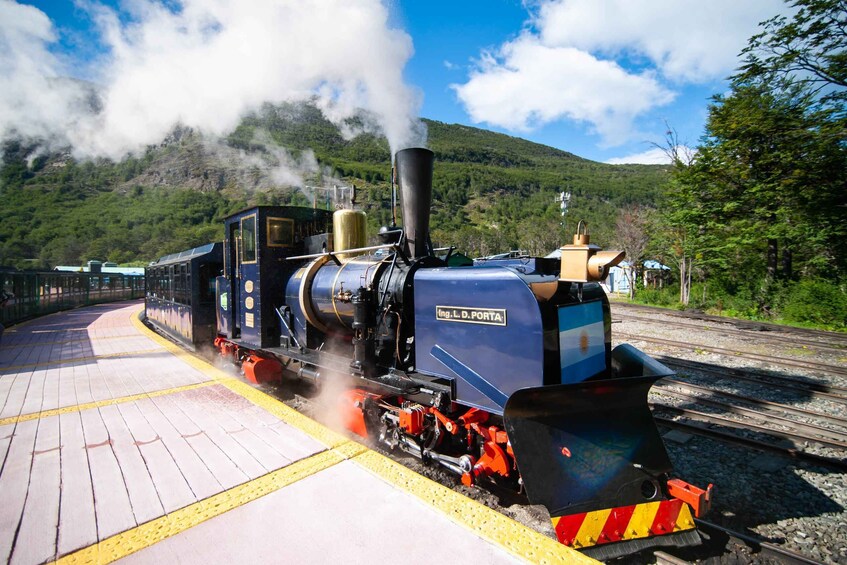 Picture 1 for Activity Ushuaia: National Park and Beagle Channel Tour with Train