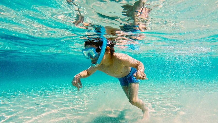 Fort Walton Beach: Morning Dolphin Cruise with Snorkel Stop