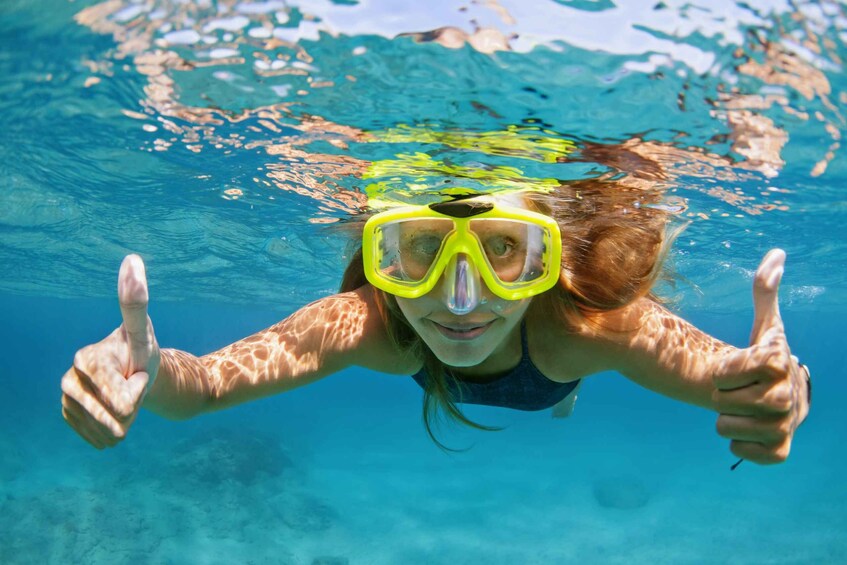 Picture 3 for Activity Fort Walton Beach: Morning Dolphin Cruise with Snorkel Stop