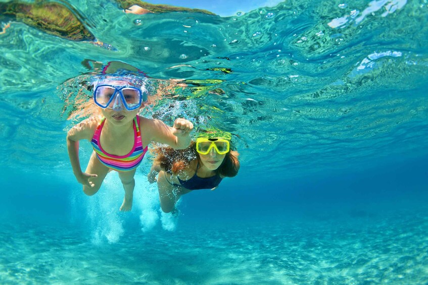 Picture 5 for Activity Fort Walton Beach: Morning Dolphin Cruise with Snorkel Stop