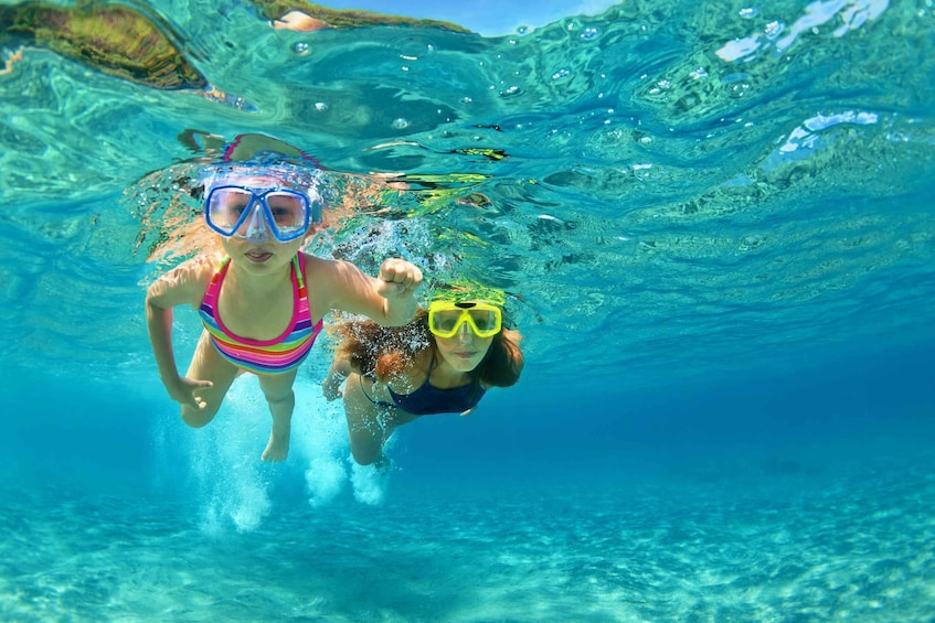 Picture 5 for Activity Fort Walton Beach: Morning Dolphin Cruise with Snorkel Stop