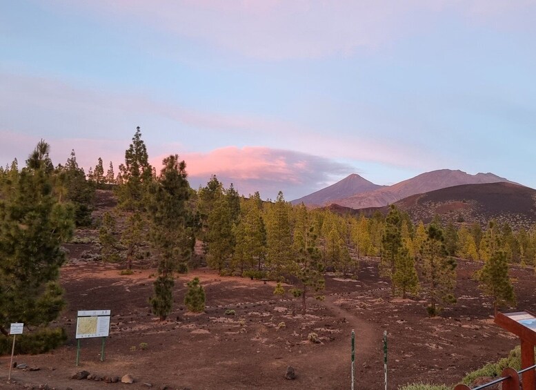 Picture 6 for Activity Tenerife: Sunset and Stargazing at Teide National Park