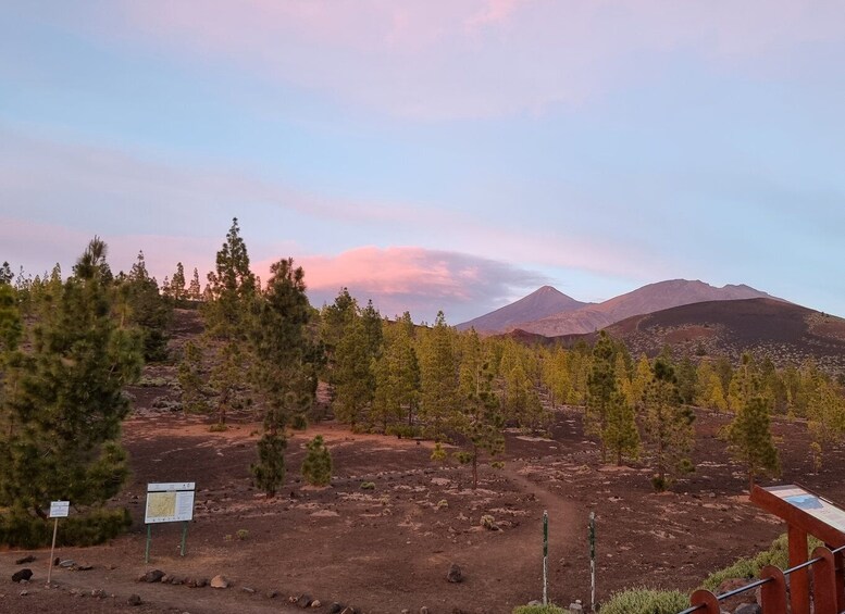 Picture 6 for Activity Tenerife: Sunset and Stargazing at Teide National Park
