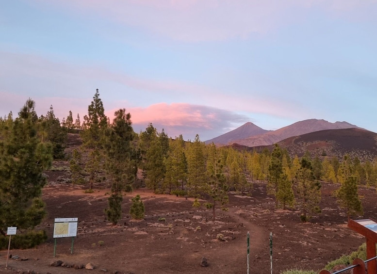 Picture 6 for Activity Tenerife: Sunset and Stargazing at Teide National Park