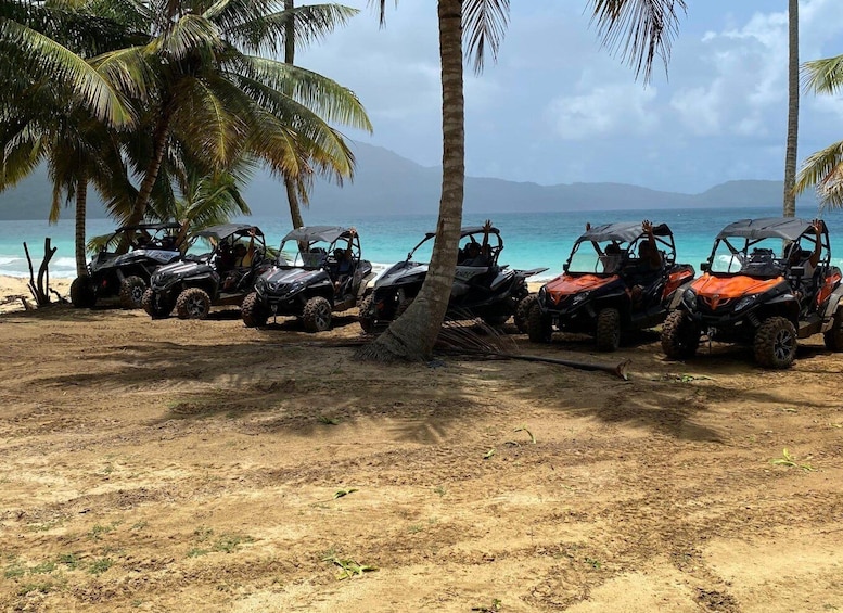Samana: 4hrs Buggy Tour with Transportation Included