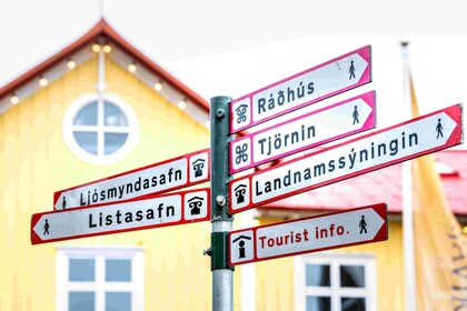 3 heures de visite privée de Reykjavik excursion