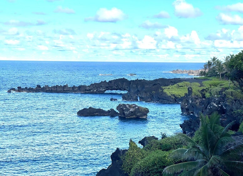 Picture 7 for Activity Authentic Road To Hana Tour (Private)