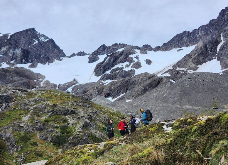 Picture 7 for Activity Ushuaia: Martial Glacier hiking tour