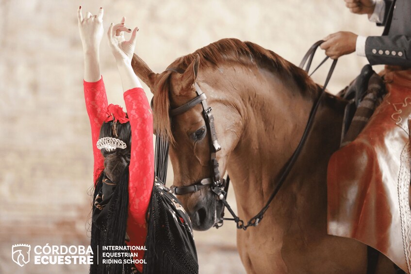 Picture 4 for Activity Cordoba: Caballerizas Reales Equestrian Show Entry Ticket