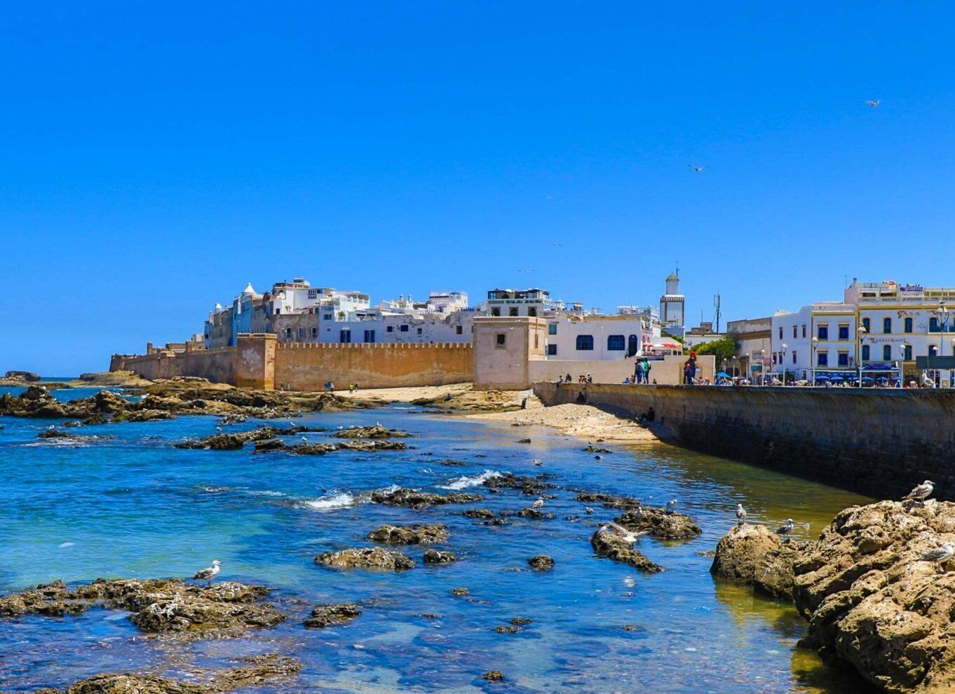 Day Trip From Marrakech to Essaouira All Included