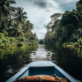 Puerto Limón: Tortuguero Canals Boat & Maratopia Garden Tour