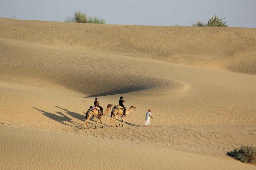 Picture 2 for Activity Jaisalmer: Luxury Camping in the Desert