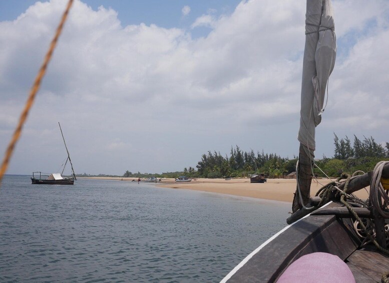 Picture 3 for Activity Private Dhow Cruise Lamu (Daytrip): Kipungani & Matondoni