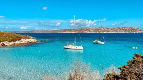 Sail Away to Paradise: Day Cruise in La Maddalena Arcipelago