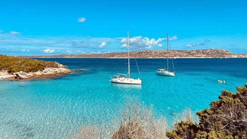 From Palau: Sailing tour La Maddalena Arcipelago with lunch