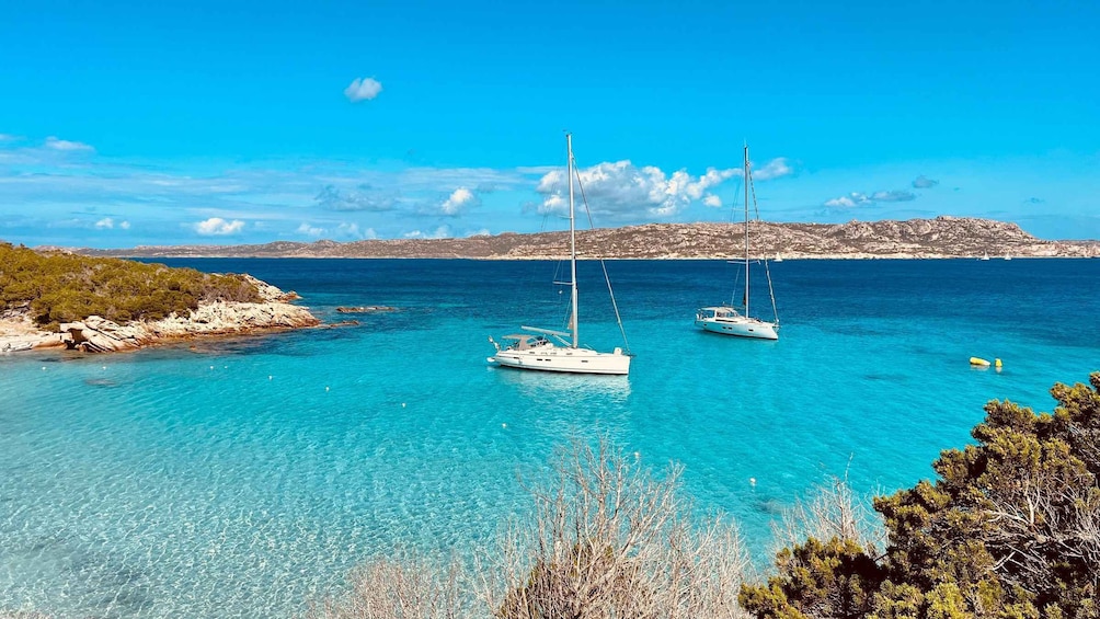 Sail Away to Paradise: Day Cruise in La Maddalena Arcipelago