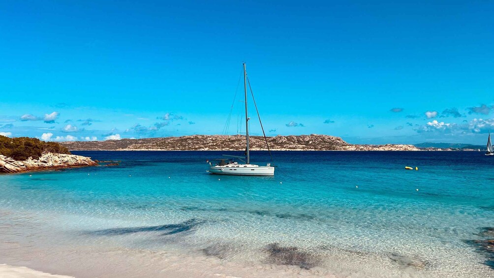 Picture 8 for Activity Sail Away to Paradise: Day Cruise in La Maddalena Arcipelago