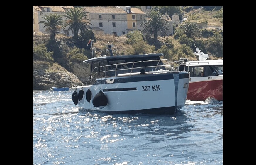 Picture 1 for Activity From Hvar: Private day tour on unique 12 m yacht.