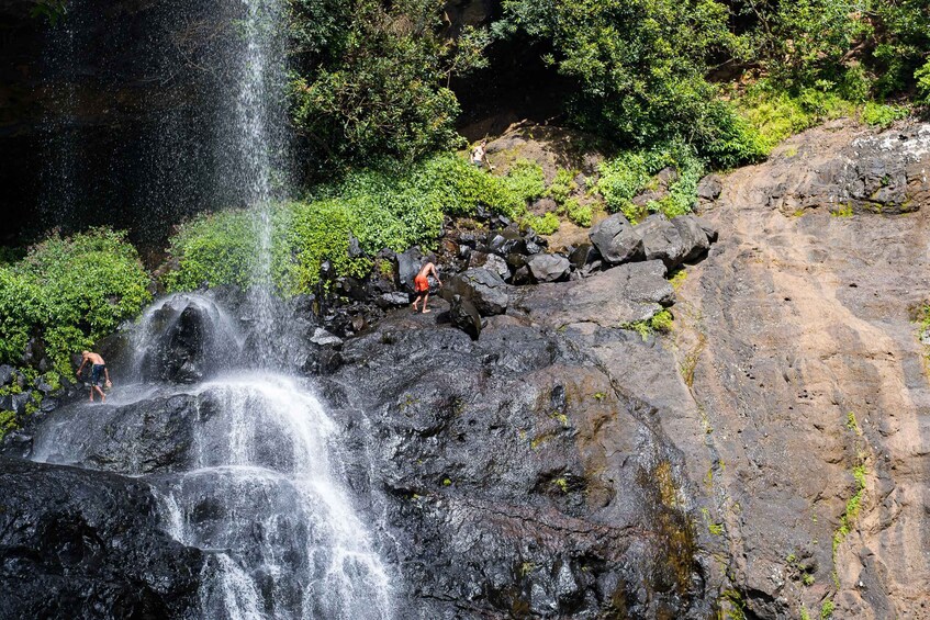 Picture 12 for Activity Mauritius: Tamarind Falls Hike with Certified Guide & Picnic