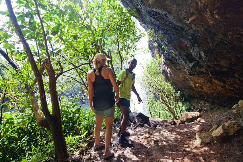 Picture 4 for Activity Mauritius: Tamarind Falls Hike with Certified Guide & Picnic
