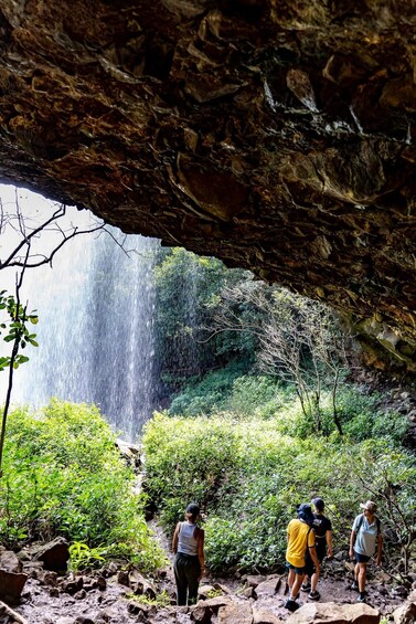 Picture 1 for Activity Mauritius: Waterfalls Hike with Local Guide and Light Picnic