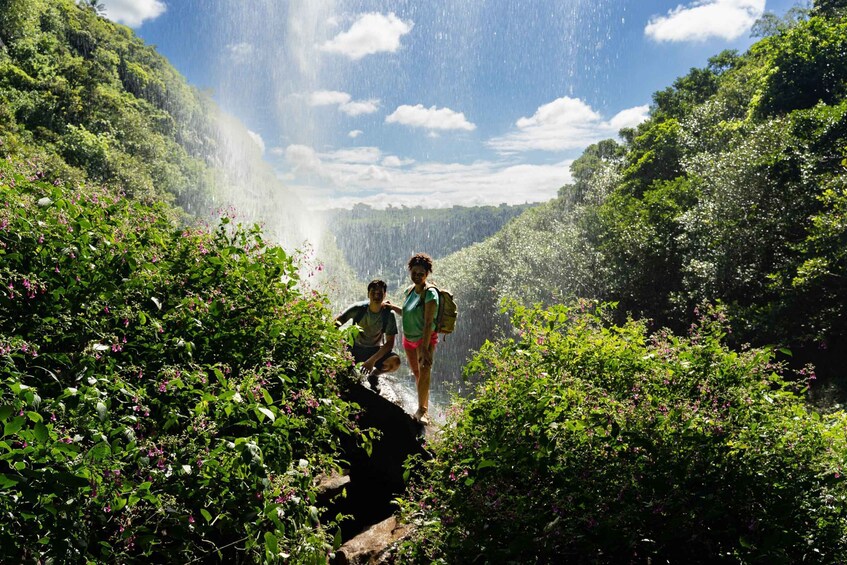 Mauritius: Tamarind Falls Hike with Certified Guide & Picnic