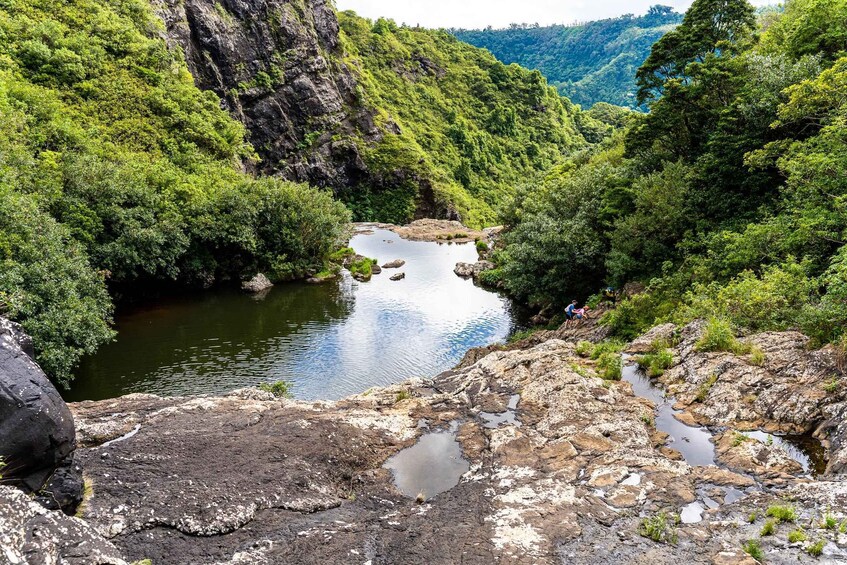 Picture 25 for Activity Mauritius: Tamarind Falls Hike with Certified Guide & Picnic