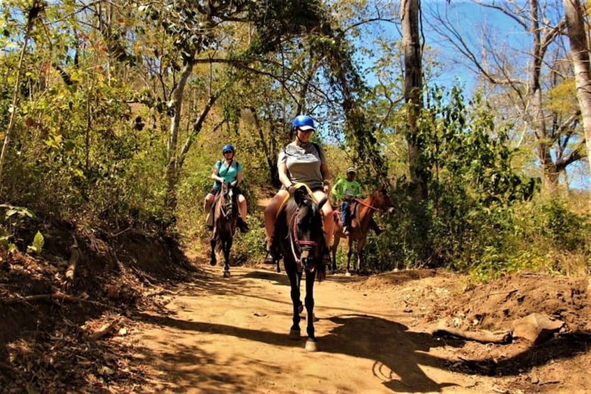Picture 2 for Activity Guanacaste: Horseback Riding Beach and Tropical Forest Tour
