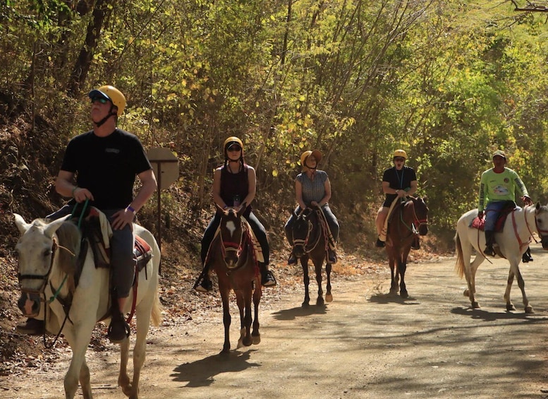 Picture 5 for Activity Guanacaste: Horseback Riding Tropical Forest Tour