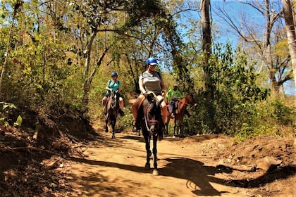 Guanacaste: Horseback Riding Tropical Forest Tour