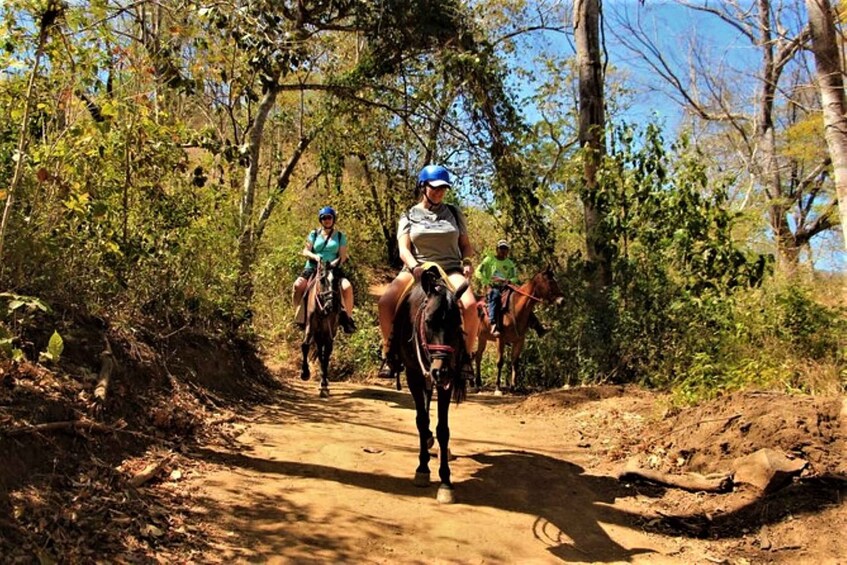 Picture 2 for Activity Guanacaste: Horseback Riding Beach and Tropical Forest Tour