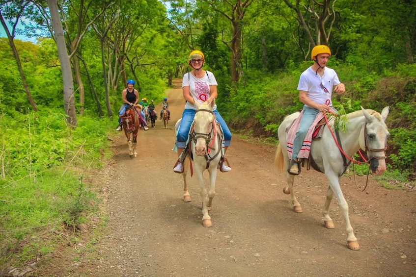 Picture 3 for Activity Guanacaste: Horseback Riding Tropical Forest Tour