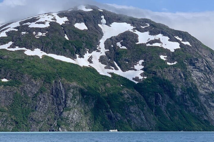 Valley of Glaciers Experience with Portage Glacier Cruise and Wildlife Tour