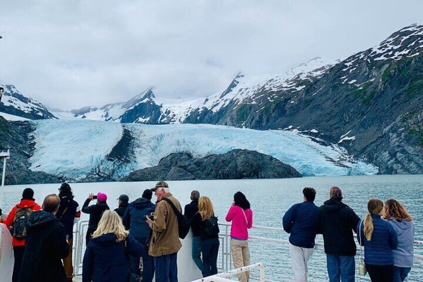 Valley of Glaciers Experience with Portage Glacier Cruise and Wildlife Tour