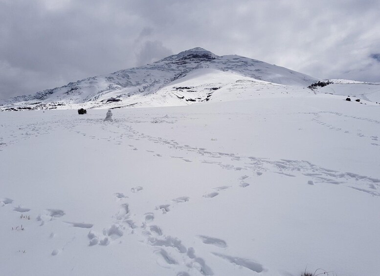 Cotopaxi Park and Papallacta Hot Springs: Lunch Included