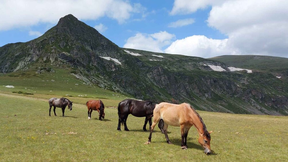 Picture 2 for Activity 7 Rila lakes and Rila monastery day tour from Sofia