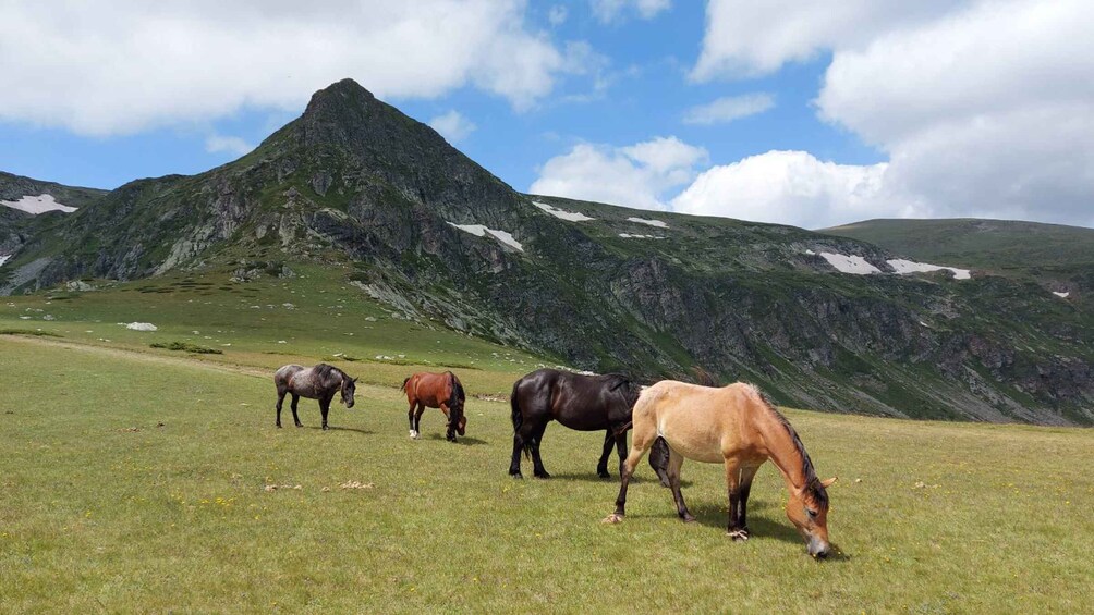 Picture 2 for Activity 7 Rila lakes and Rila monastery day tour from Sofia